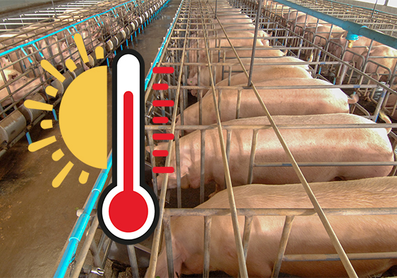 Thermosec Agrar Heatprotect 1